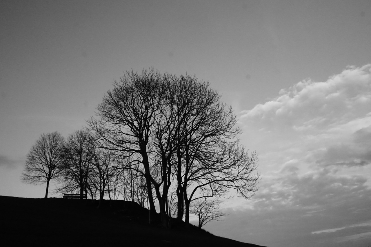 Tranquil loneliness